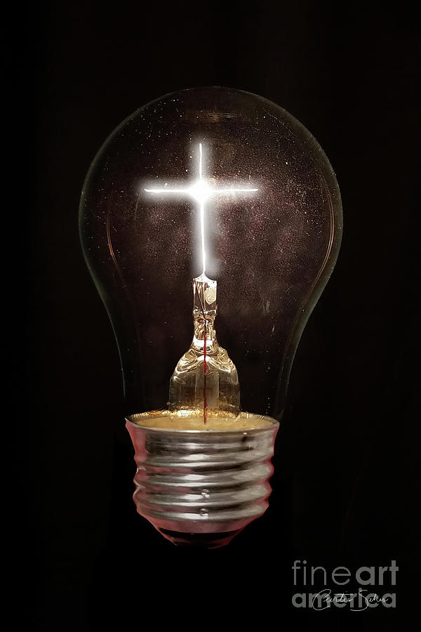 The Light Of Life by Curtis Sikes The Light Of Life by Curtis Sikes