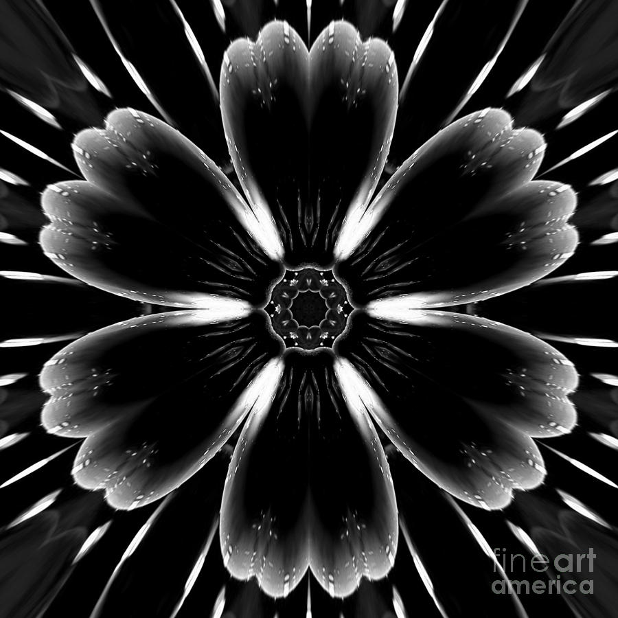 Black And White Digital Art - The Light Sustains Me by Rachel Hannah