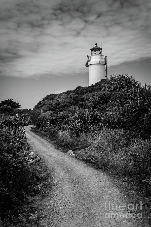 The Lighthouse at Cape Foulwind Photograph by Tim Mealy - Pixels