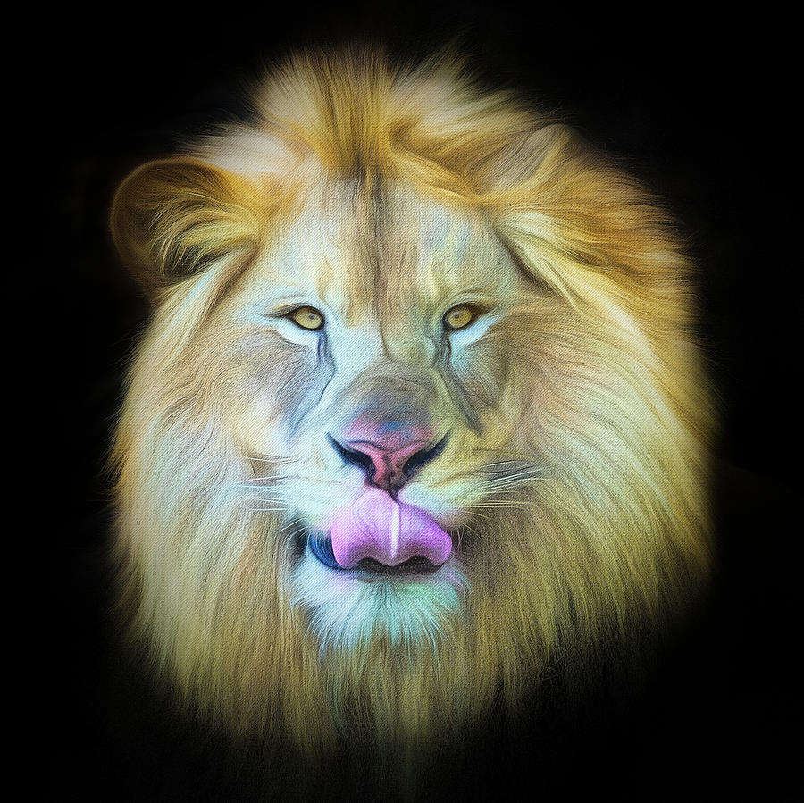 The Lion King in Color Photograph by Deborah Penland