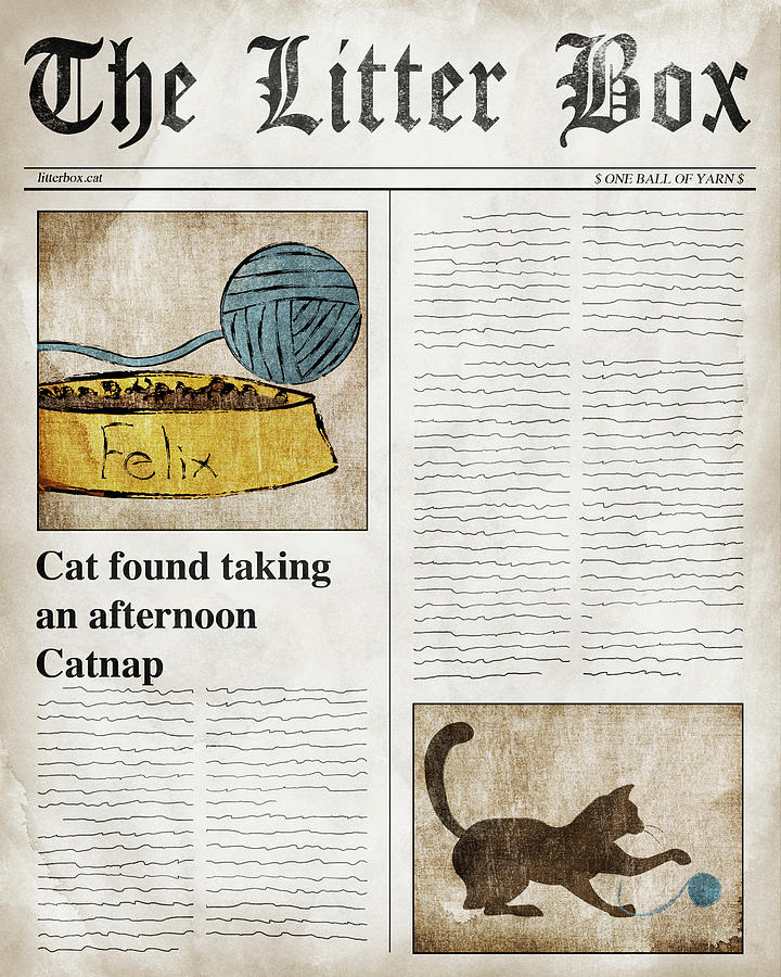 Cat Digital Art - The Litter Box by Sd Graphics Studio