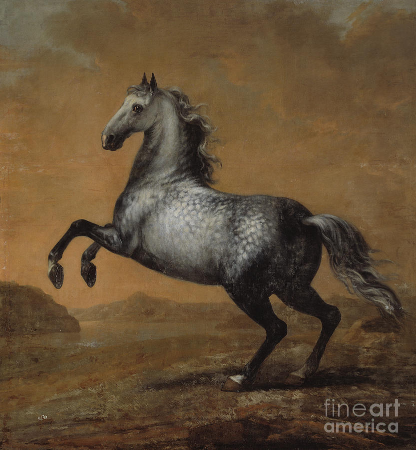 The Little Englishman, Horse Of King Karl Xi Painting by David Klocker Ehrenstrahl