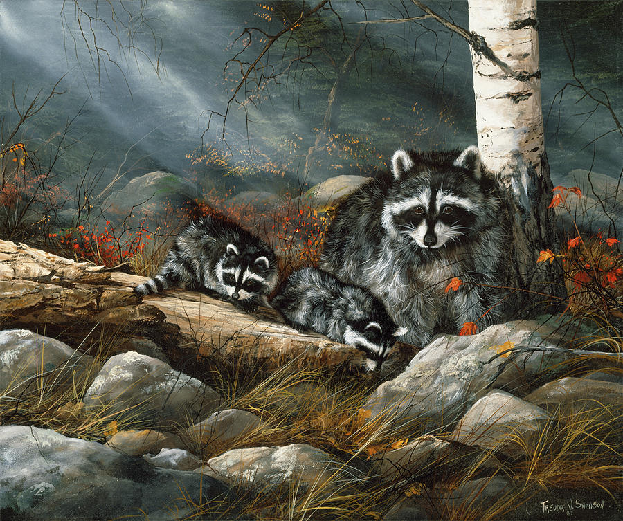 Raccoon Painting - The Little Investigators by Trevor V. Swanson
