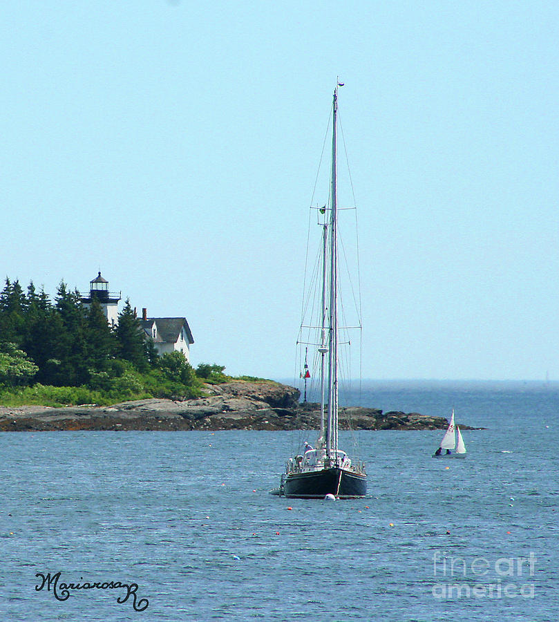 The Little Sailboat That Could Photograph by Mariarosa Rockefeller