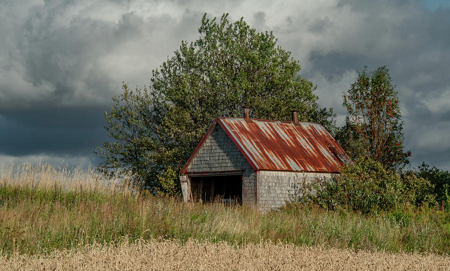 The Little Shed At The Edge Of The Wheat Field Photograph by Marcy Wielfaert