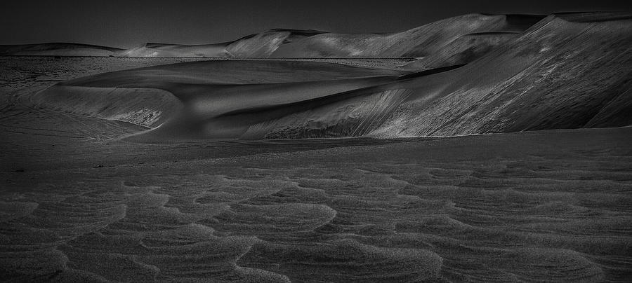 Desert Photograph - The Living Desert by D. Sarma