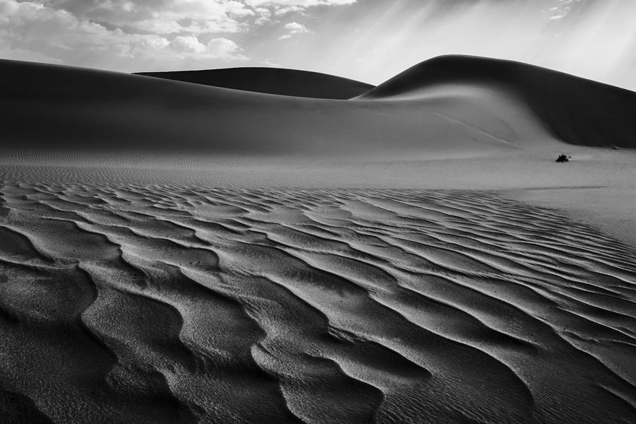 Namibia Photograph - The Living Dunes, Namibia I by Neville Jones