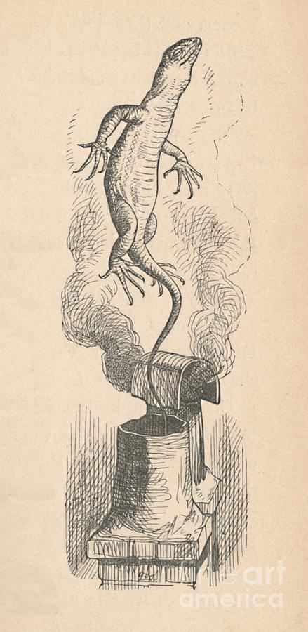 The Lizard, 1889 Drawing by Print Collector