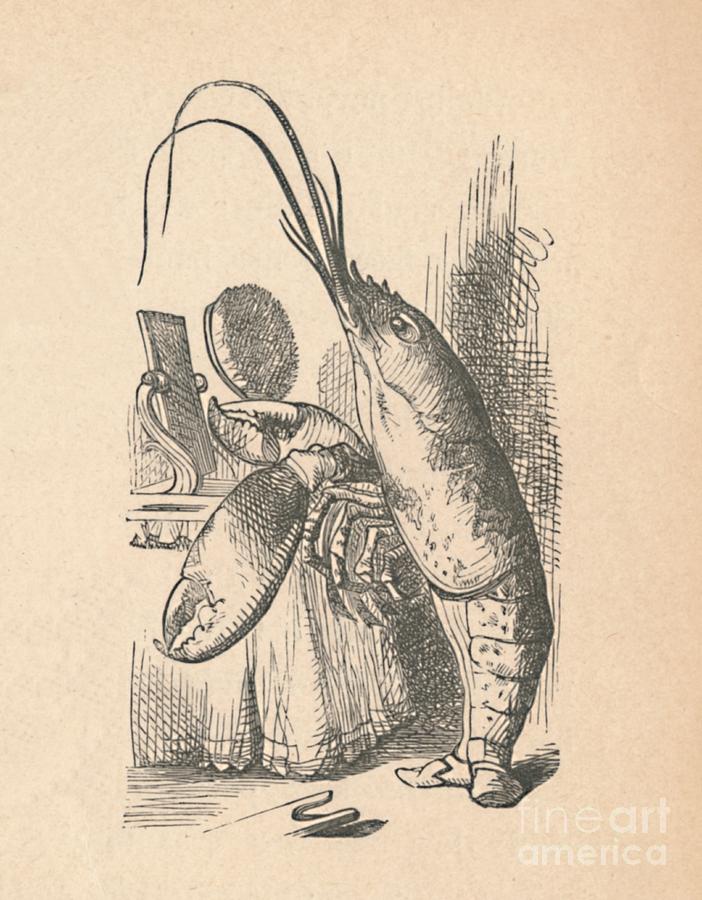 The Lobster, 1889 Drawing by Print Collector