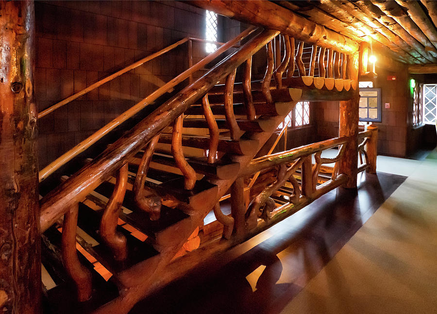 The log staircase Photograph by Shirley Mitchell