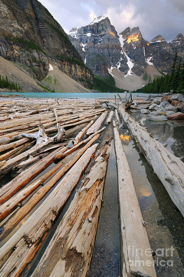 Logs Floating in Moraine Lake  Photograph by Tom Schwabel