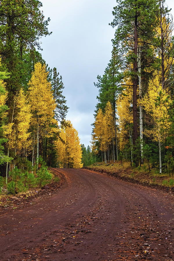 The Long and Winding Road by Rick Furmanek The Long and Winding Road by Rick Furmanek