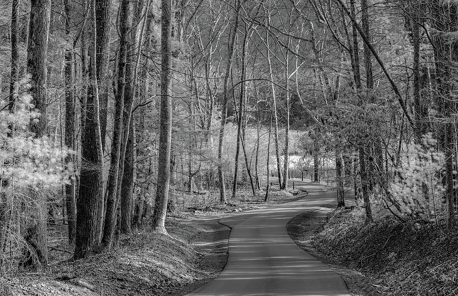 The Long Road Home, Black and White Version Photograph by Marcy ...