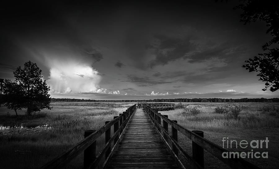 The Long Walk Photograph by Marvin Spates