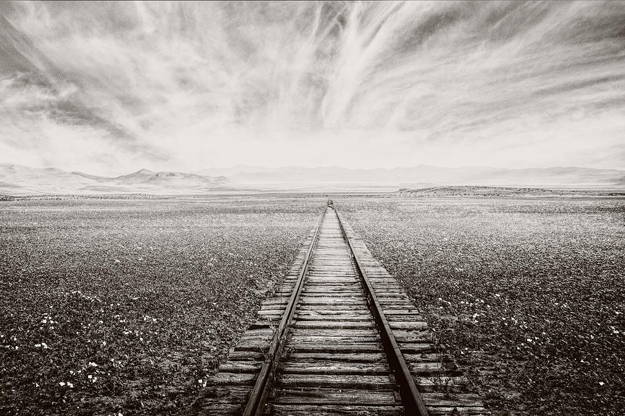 The Long Way in Sepia Tones Photograph by Debra and Dave Vanderlaan