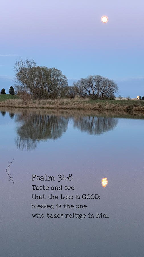 Blessed Photograph - The Lord is Good by April Beaver Blessed Photograph - The Lord is Good by April Beaver