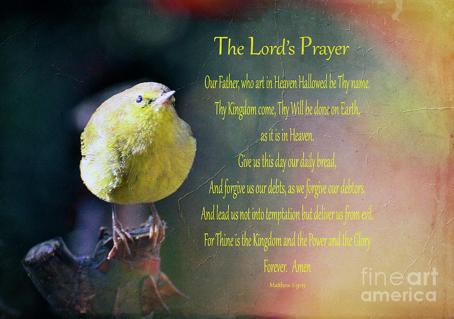 The Lords Prayer Photograph by Debby Pueschel