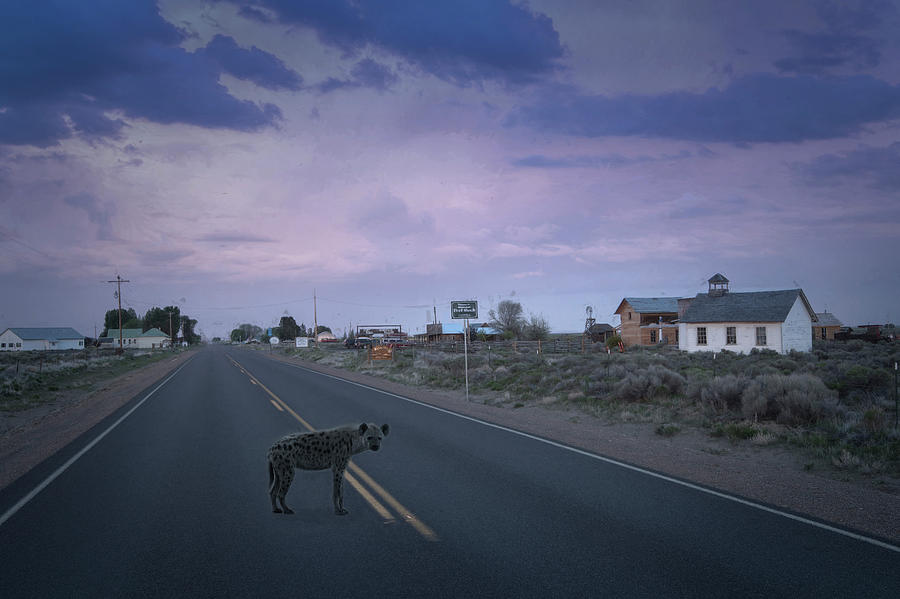 Usa Photograph - The Lost Highway Desperation by Christian Heeb