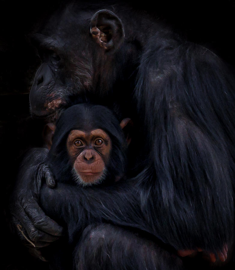 The Love Between A Mother And Her Child.... Photograph by Natascha Worseling