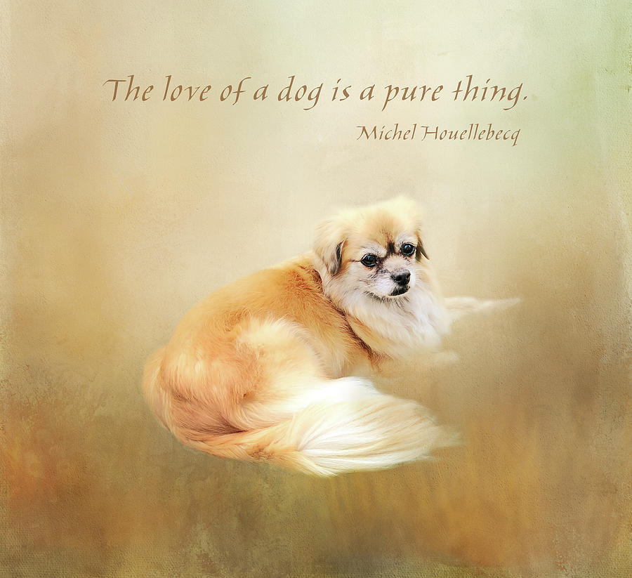 The Love of a Dog Digital Art by Terry Davis