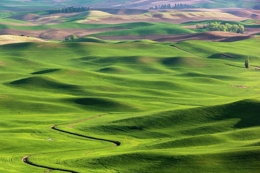 ...the Lunatic Is On The Grass... Photograph by Wasim Muklashy | Fine ...