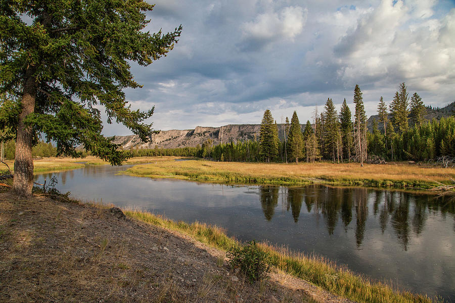 The Madison River at West Yellowstone Photograph by Lon Dittrick - Fine ...