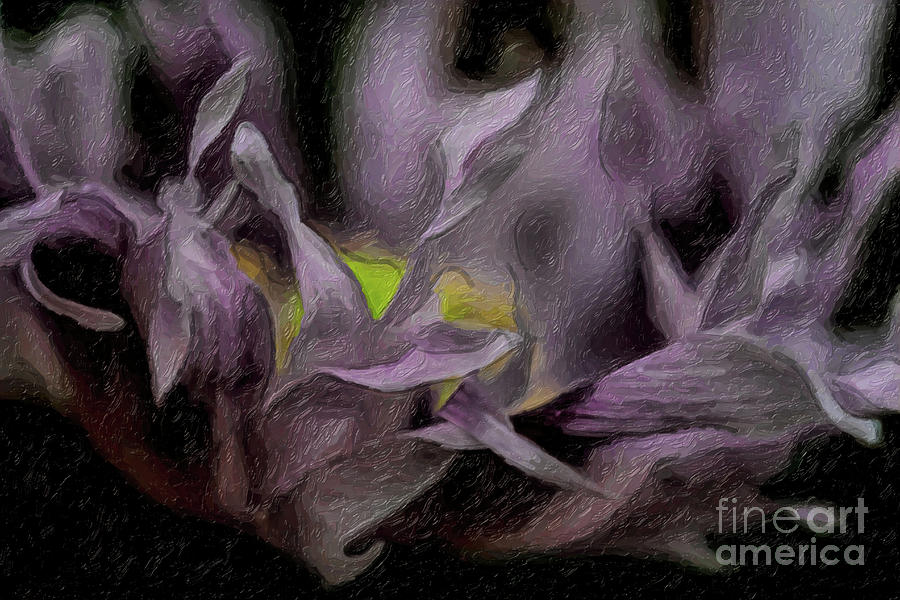 The Madness of Poppies by C L Lassila The Madness of Poppies by C L Lassila