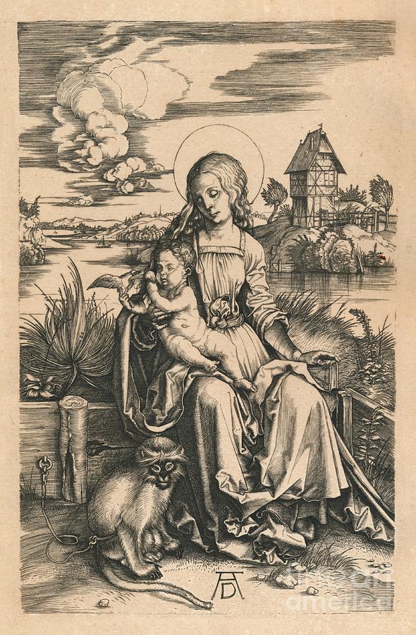 The Madonna With The Monkey, C1498 Drawing by Print Collector
