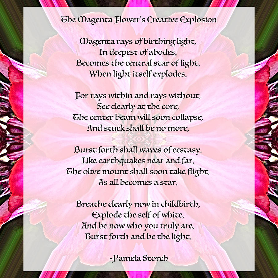 The Magenta Flowers Creative Explosion Poem Digital Art by Pamela Storch
