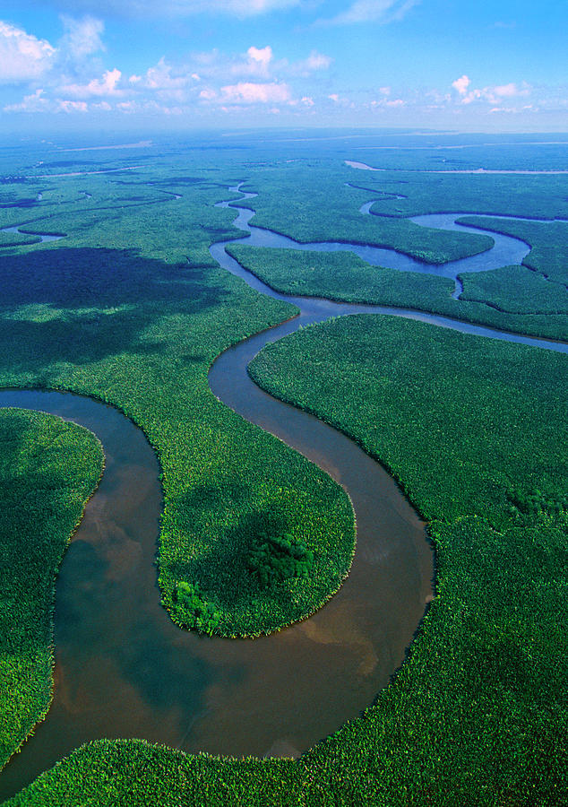 The Mahakam Delta In East Kalimantan Photograph by Mslightbox