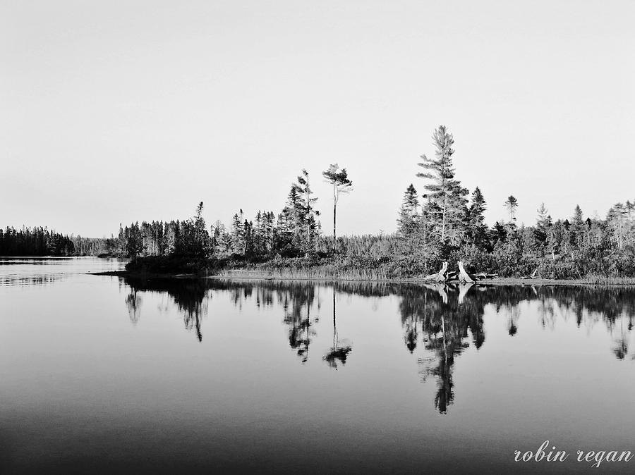 The Maine Woods by Robin Regan The Maine Woods by Robin Regan
