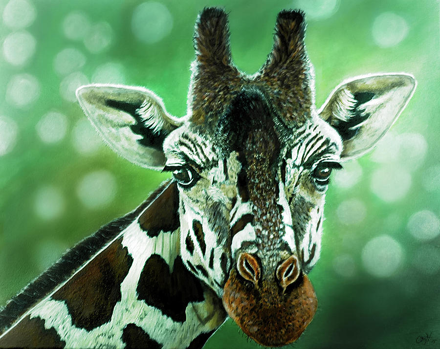 The Majestic Giraffe by Christina M Hale The Majestic Giraffe by Christina M Hale