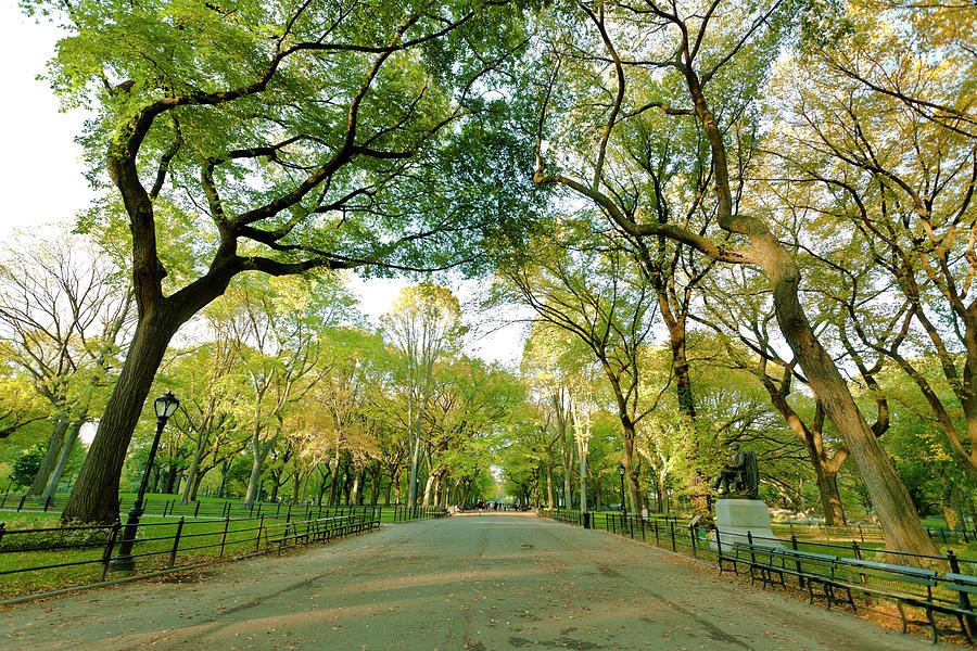 Central Park Photograph - The Mall Alley In Central Park by Pawel.gaul