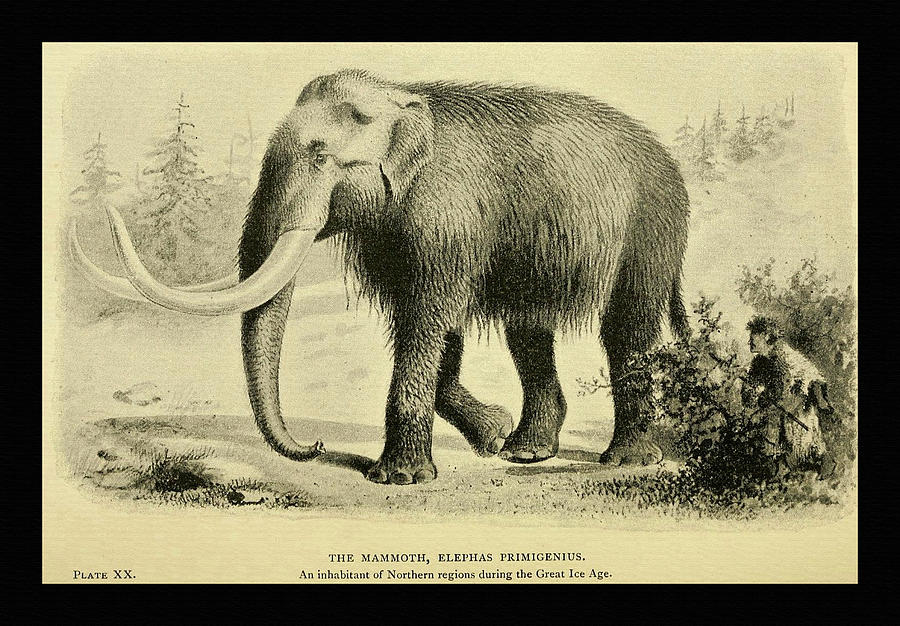 The Mammoth Painting by Joseph Smit - Fine Art America