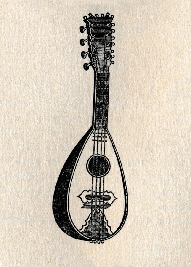The Mandoline Drawing by Print Collector