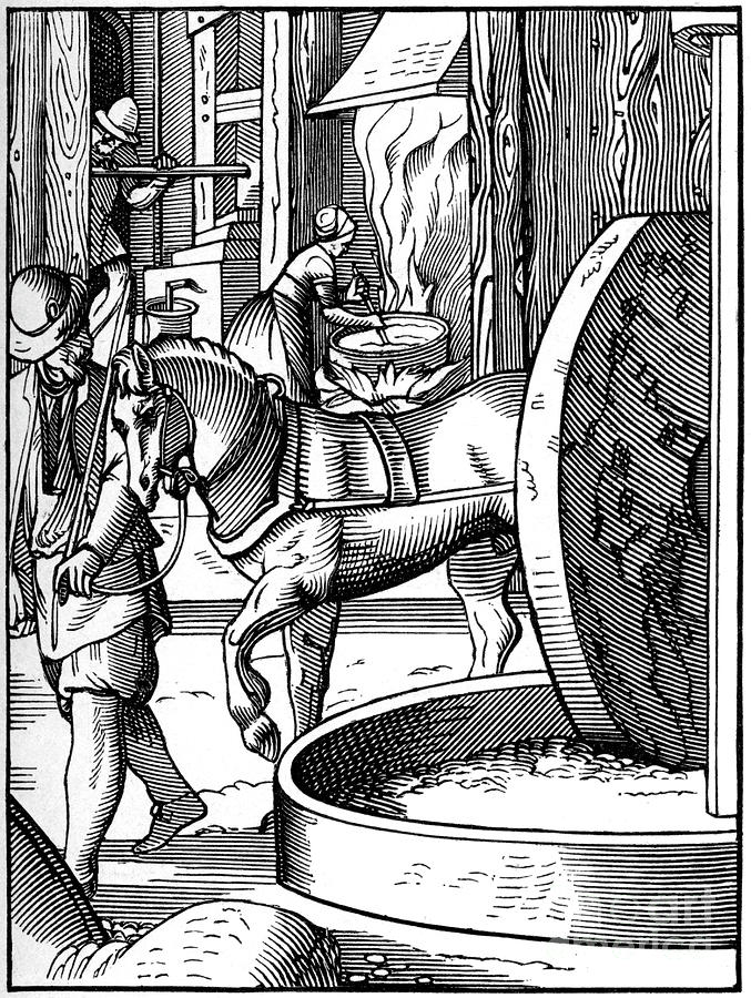 The Manufacture Of Oil, 16th Century Drawing by Print Collector