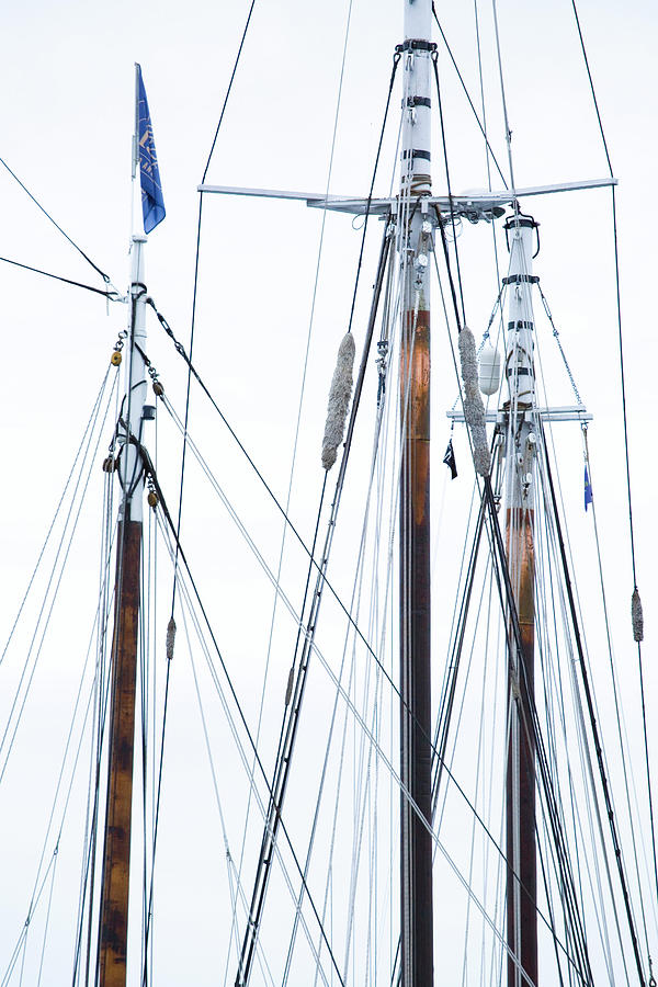The Masts Photograph by Ray Silva
