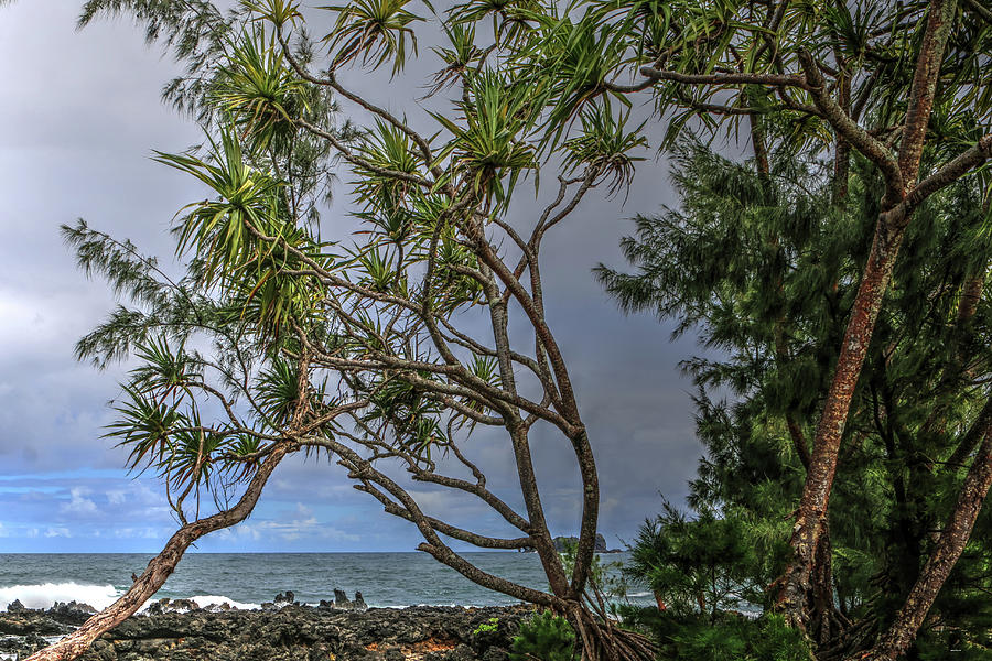 The Maui coast Photograph by Tom Prendergast