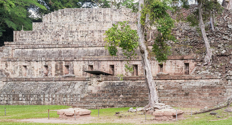 The Mayan ruins in Copan Ruinas, Honduras Photograph by Marek Poplawski ...