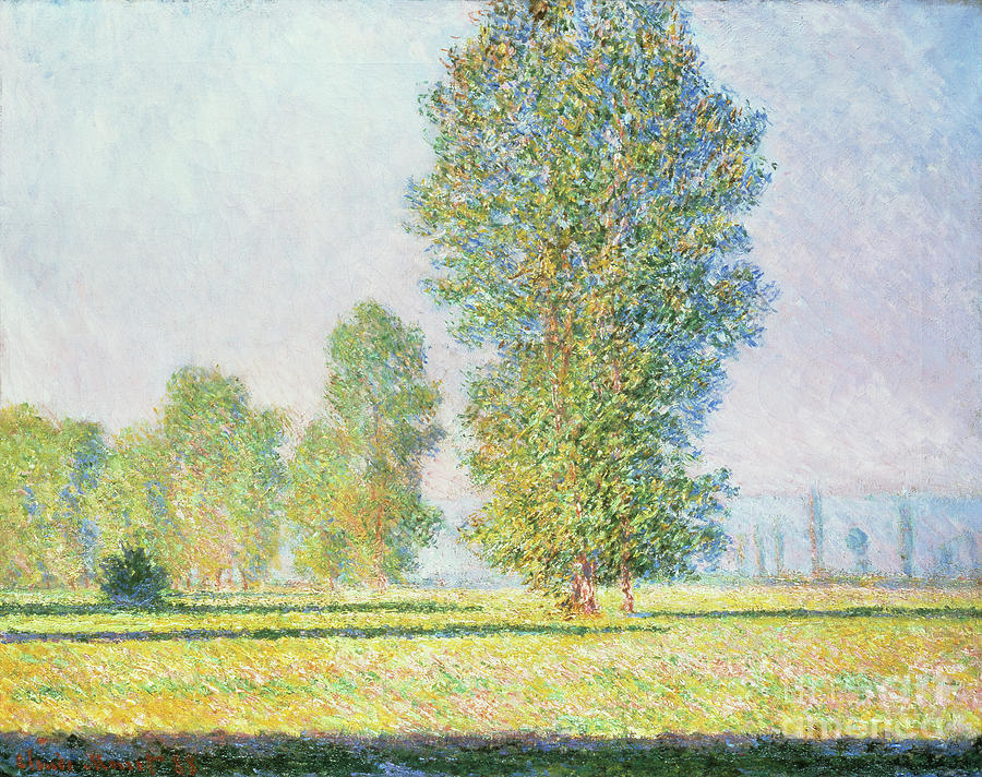 The Meadow Of Limetz, 1888 By Claude Monet Painting by Claude Monet