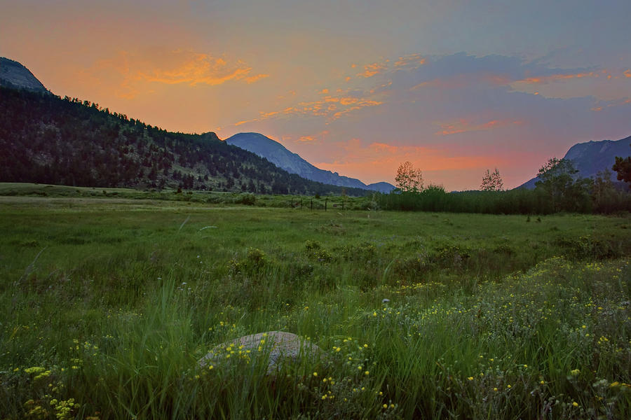 The Meadow - Rocky Mountain National Park - Sunrise Photograph by Nikolyn McDonald