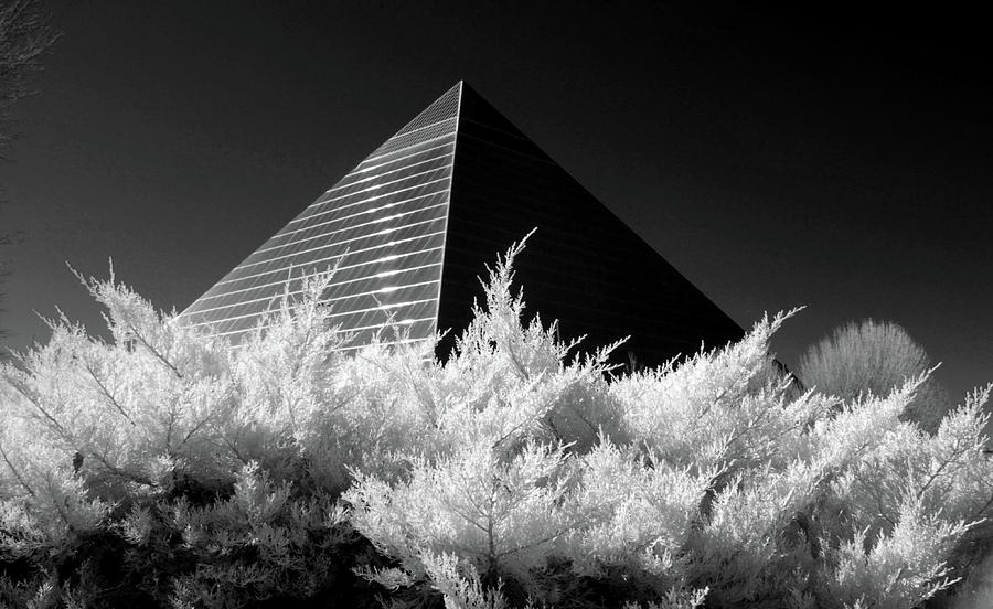 The Memphis Pyramid Photograph by Amy Curtis