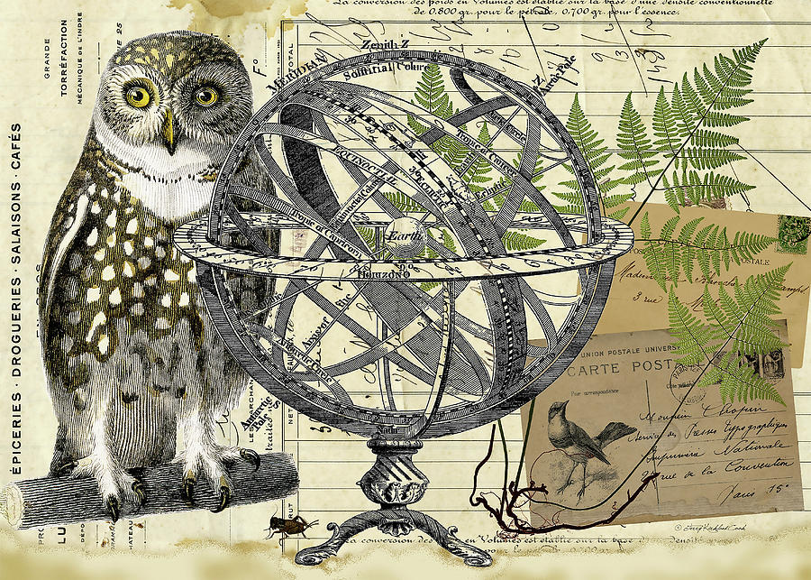 The Meridian Owl Digital Art by Terry Kirkland Cook