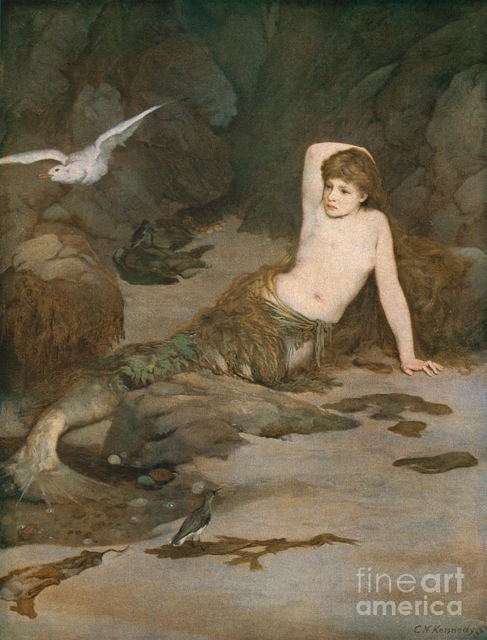 The Mermaid Drawing by Print Collector