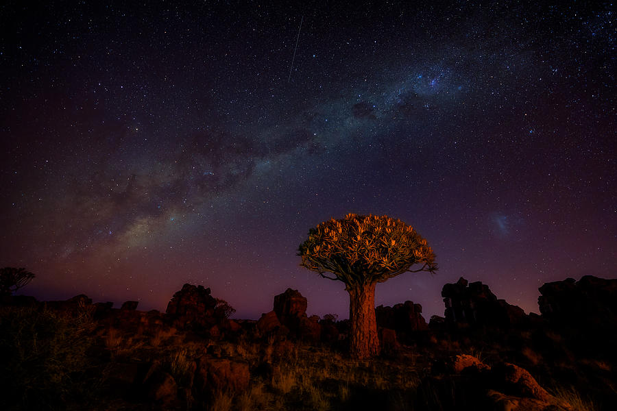 The Milky Way In Namibia Photograph by Min Li