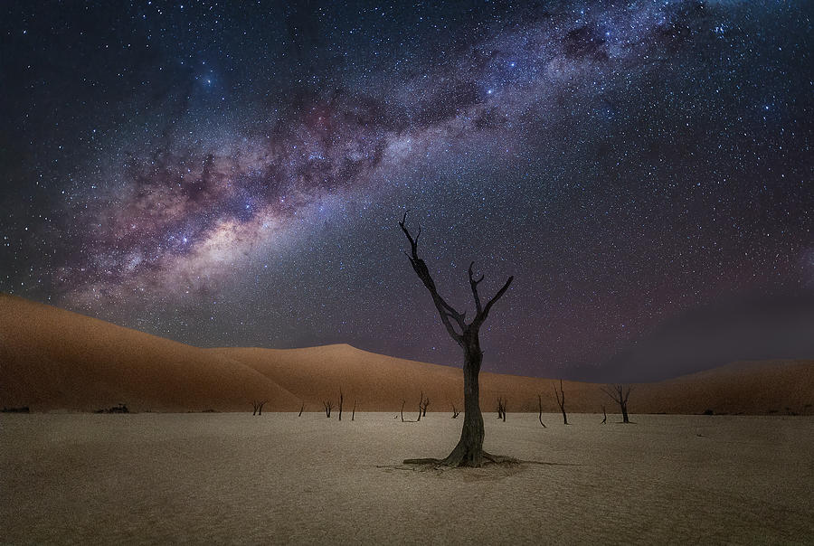 The Milkyway At Deadlvei Photograph by Gu And Hongchao