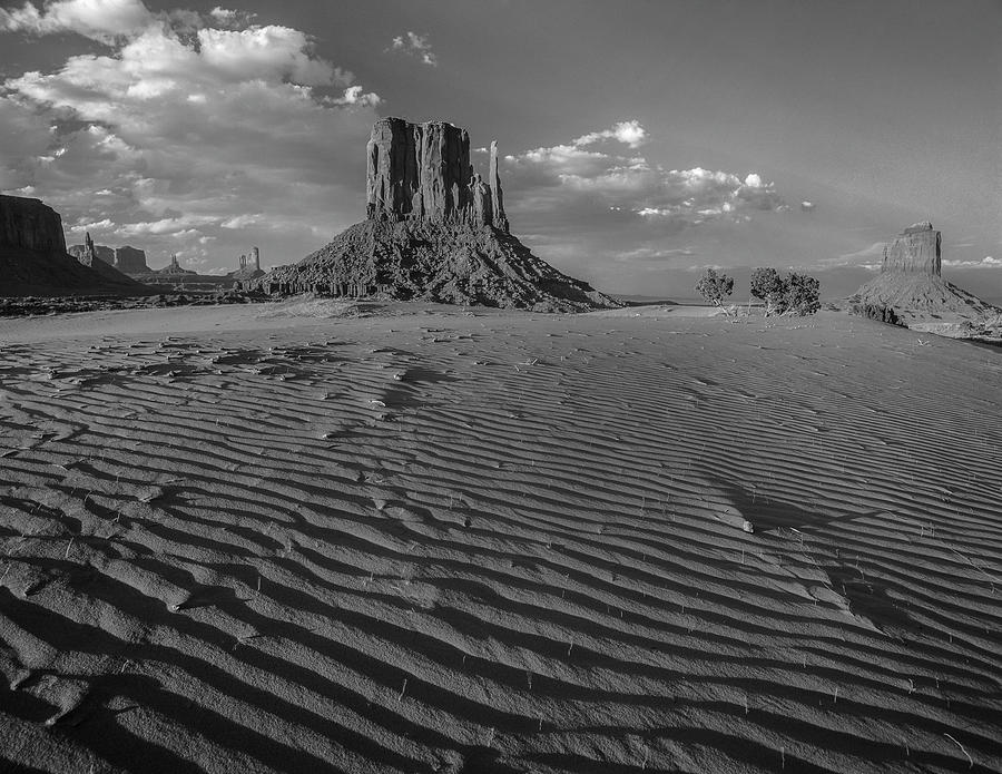 The Mittens, Monument Valley Photograph by Tim Fitzharris