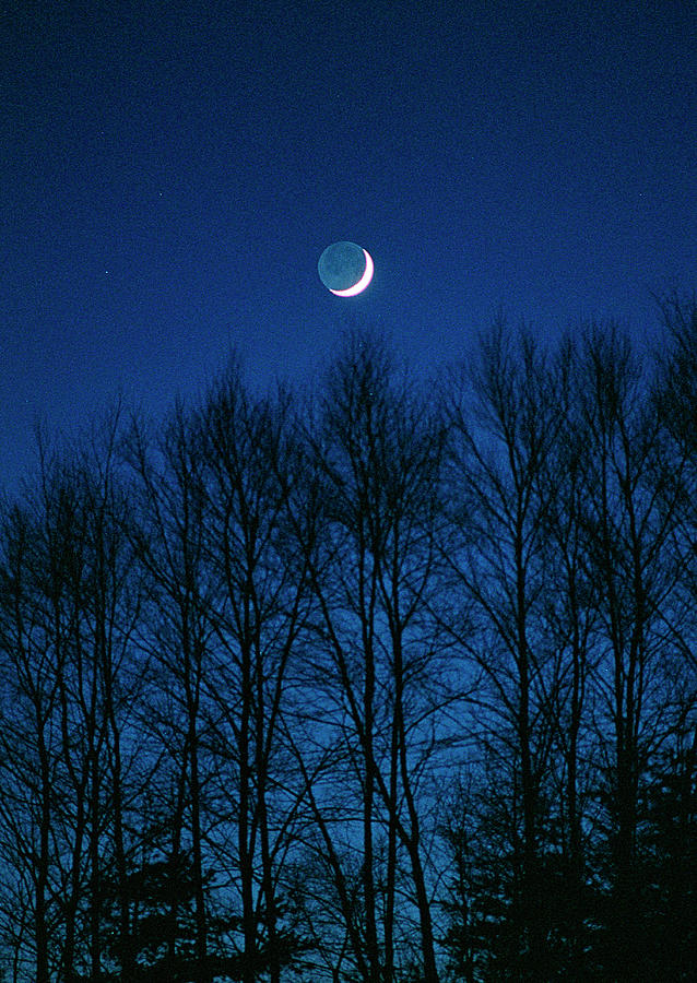 The Moon Photograph by Imagenavi