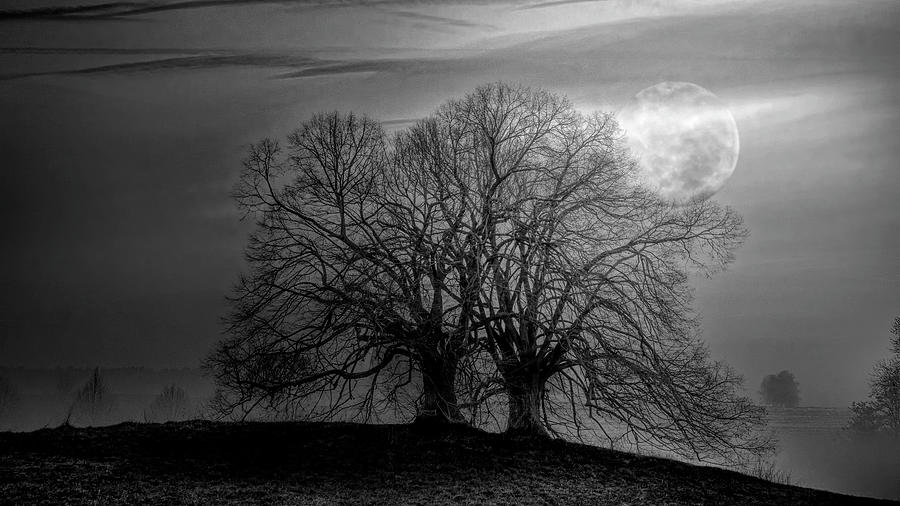 The Moon Rises over the Hillsides in Black and White Photograph by Debra and Dave Vanderlaan