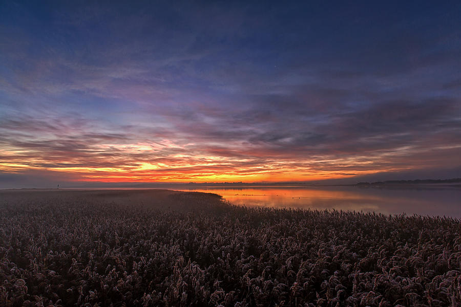 The Morning Silence. Photograph by Leif Lndal